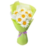 Букет из 7 ромашек