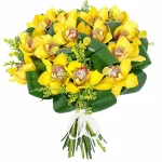 Орхидеи желтые